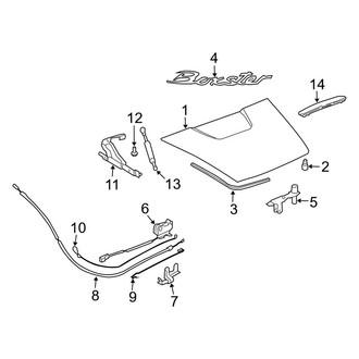 Porsche OE - Engine Lid - Lid & Components