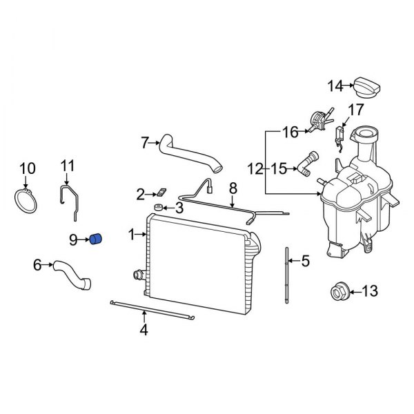 Radiator Drain Plug