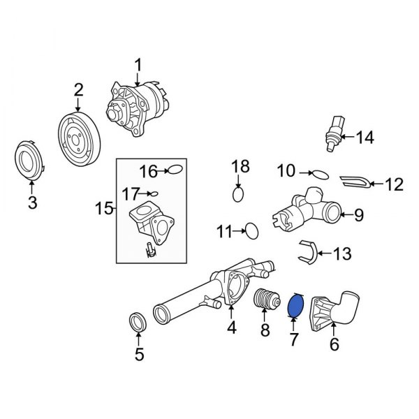 Engine Coolant Thermostat Seal