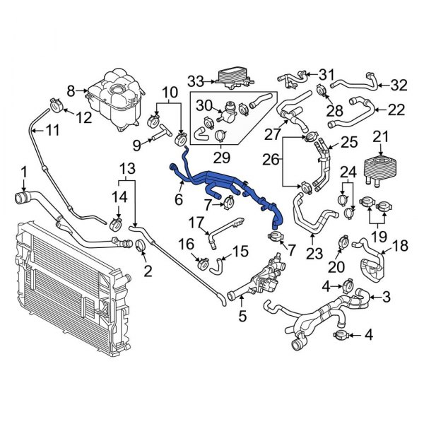 Engine Coolant Overflow Hose