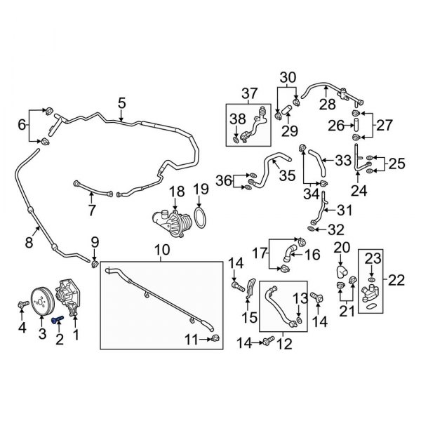 Engine Water Pump Bolt