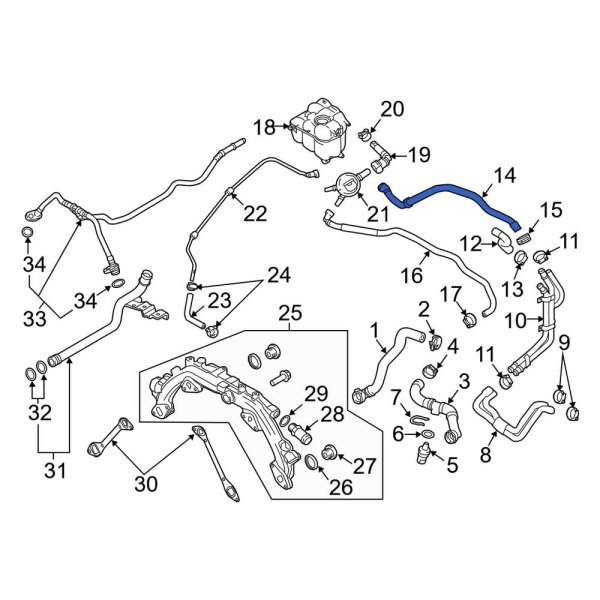 Engine Coolant Reservoir Hose