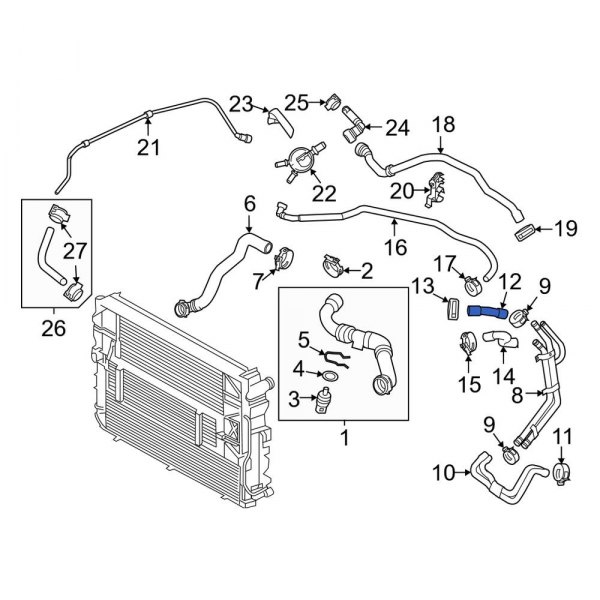 Engine Coolant Overflow Hose