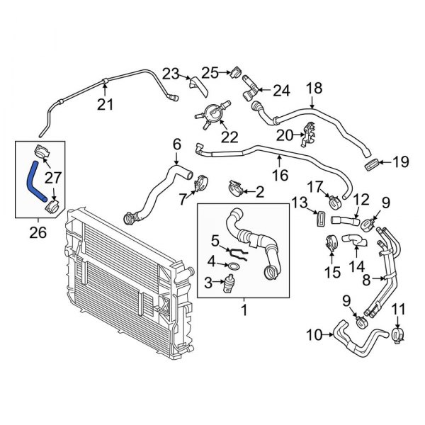 Engine Coolant Overflow Hose