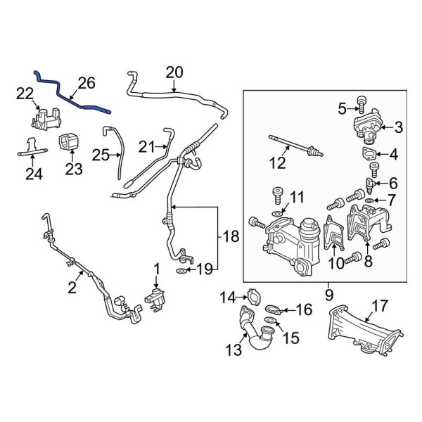 Evaporative Emissions System Lines