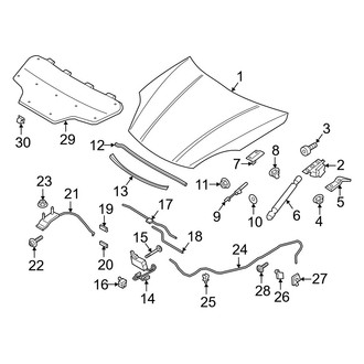 Porsche OE - Hood & Components