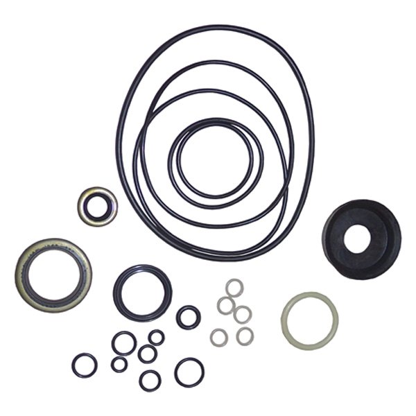  PPW® - Meyer™ Basic Seal Kit for E60/E60H Pumps