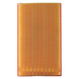 Premium Guard® - Panel Air Filter