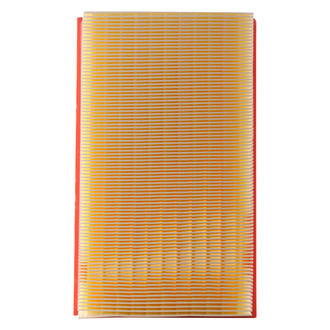Premium Guard® - Panel Air Filter