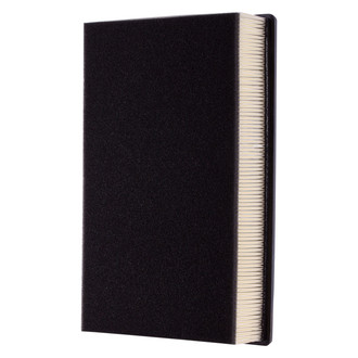 Premium Guard® - Air Filter