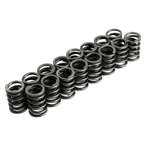 PCE® PCE272.1004 Dual Valve Springs with Damper