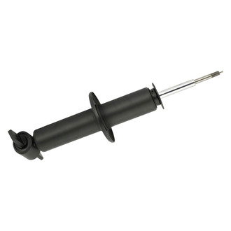 PRT® - Front Driver or Passenger Side Twin-Tube Strut
