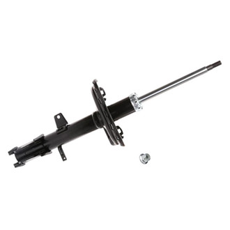 PRT® - Rear Passenger Side Strut Assembly