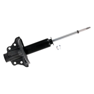 PRT® - Front Driver or Passenger Side Twin-Tube Strut
