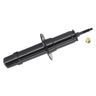 PRT® - Front Driver or Passenger Side Twin-Tube Strut