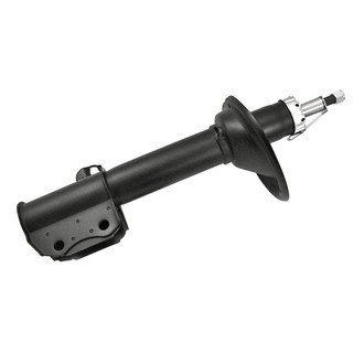 PRT® - Rear Passenger Side Twin-Tube Strut