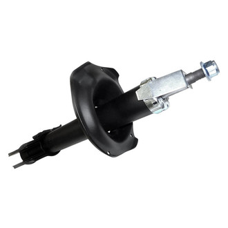 PRT® - Rear Passenger Side Twin-Tube Strut