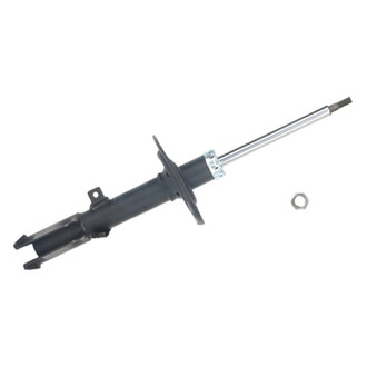 PRT® - Rear Passenger Side Strut Assembly