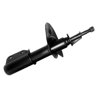 PRT® - Front Driver or Passenger Side Twin-Tube Strut