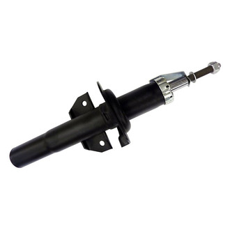 PRT® - Front Driver or Passenger Side Twin-Tube Strut