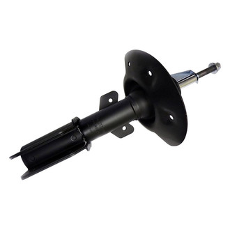 PRT® - Front Driver or Passenger Side Twin-Tube Strut