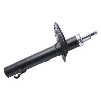 PRT® - Front Passenger Side Twin-Tube Strut