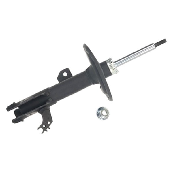 PRT® - Front Passenger Side Strut Assembly