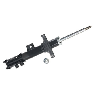 PRT® - Front Driver Side Strut Assembly
