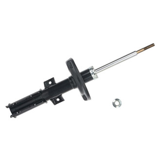 PRT® - Front Shock and Strut Assembly