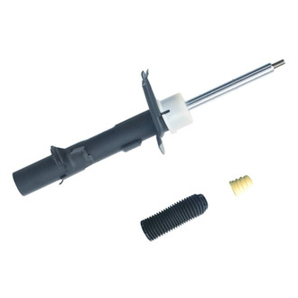 PRT® - Front Passenger Side Strut Assembly