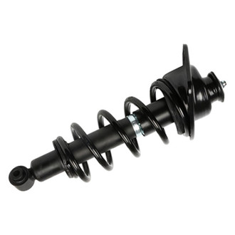 PRT® - Rear Passenger Side Strut Assembly