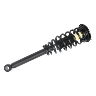 PRT® - Rear Driver or Passenger Side Strut Assembly