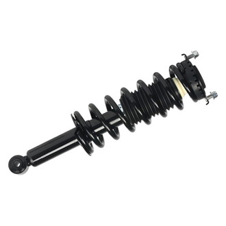 PRT® - Rear Shock and Strut Assembly