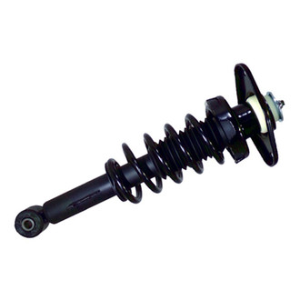 PRT® - Rear Passenger Side Strut Assembly