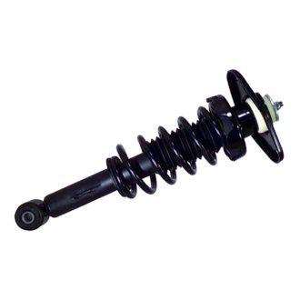 PRT® - Rear Suspension Strut and Coil Spring Assembly