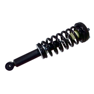 PRT® - Rear Passenger Side Strut Assembly
