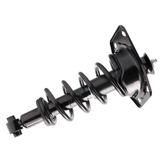 PRT® - Rear Passenger Side Strut Assembly