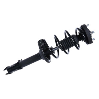 PRT® - Rear Passenger Side Strut Assembly
