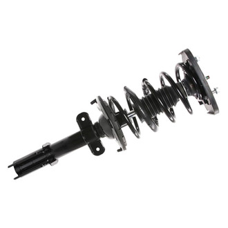 PRT® - Rear Passenger Side Strut Assembly