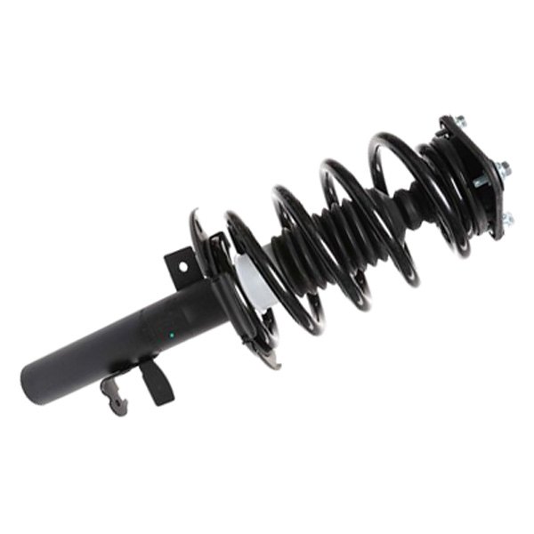 PRT® - Front Passenger Side Suspension Strut and Coil Spring Assembly