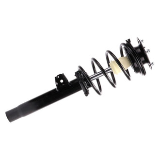 PRT® - Front Passenger Side Strut Assembly
