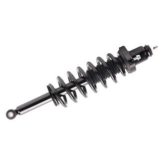 PRT® - Rear Driver or Passenger Side Strut Assembly