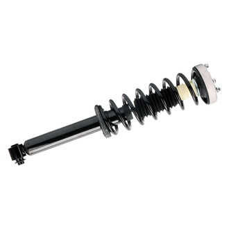 PRT® - Rear Shock and Strut Assembly