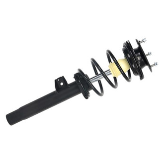 PRT® - Front Passenger Side Strut Assembly