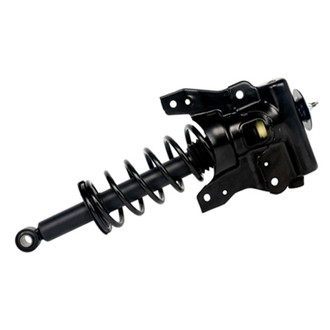 PRT® - Rear Driver Side Strut Assembly