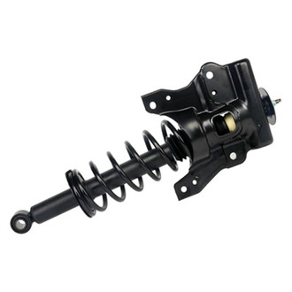 PRT® - Rear Passenger Side Strut Assembly