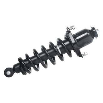 PRT® - Rear Driver Side Strut Assembly