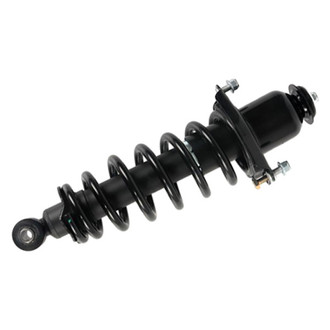PRT® - Rear Passenger Side Strut Assembly