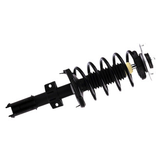 PRT® - Shock and Strut Assembly