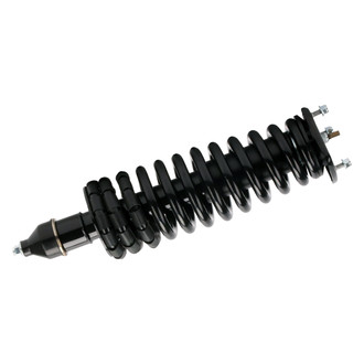 PRT® - Rear Shock and Strut Assembly